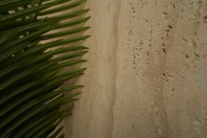 Wall Panel application in Burger King