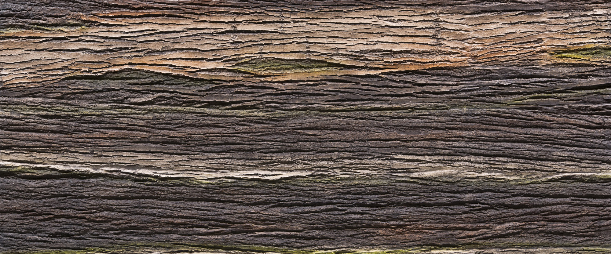 Amazon Duvar Paneli - Panel Detail