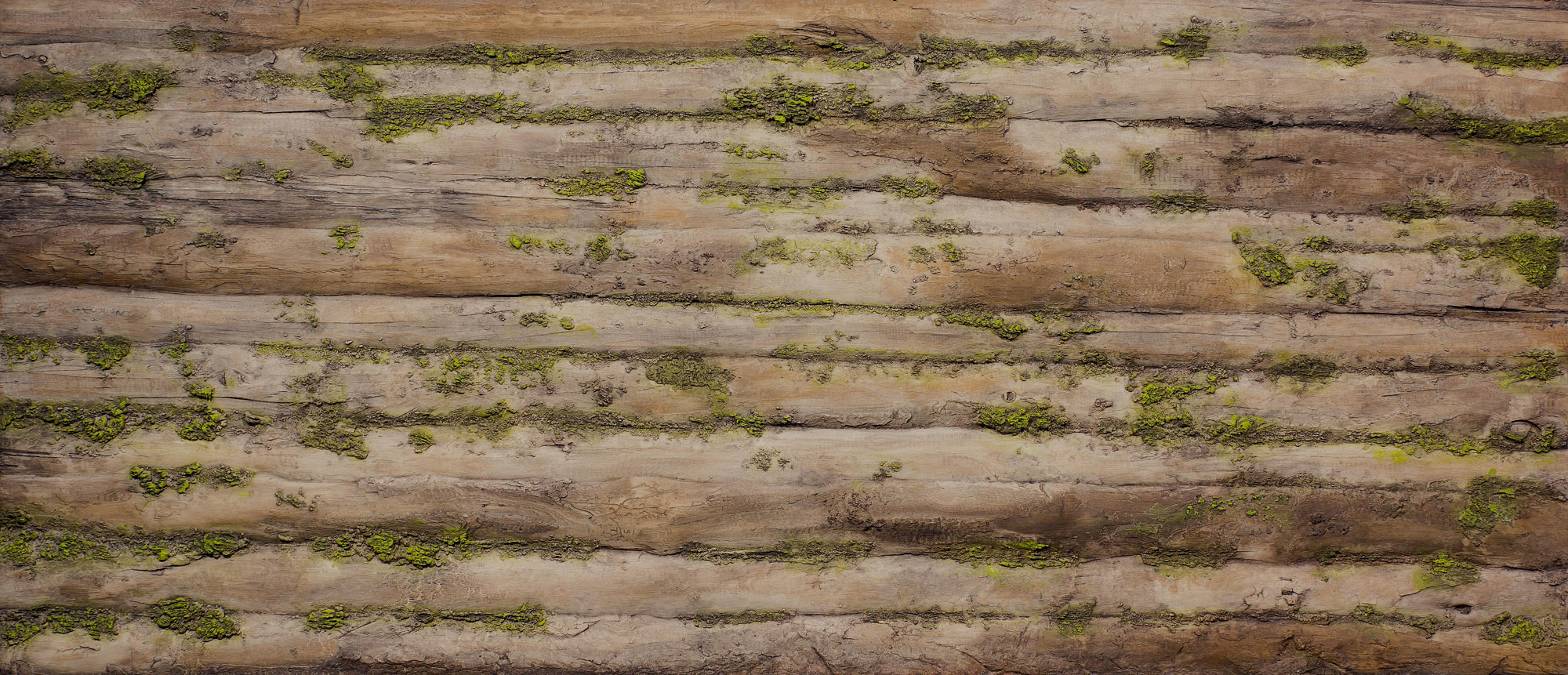 Baobab Moss Wall Panel - Panel Detail