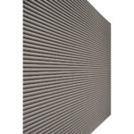 Raton-section
