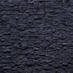 Negra