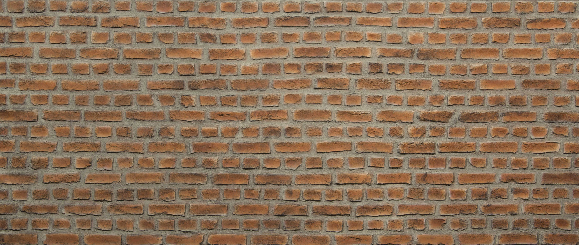 Ladrillo Loft Cure Wall Panel - Panel Detail