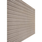 Coral-section 