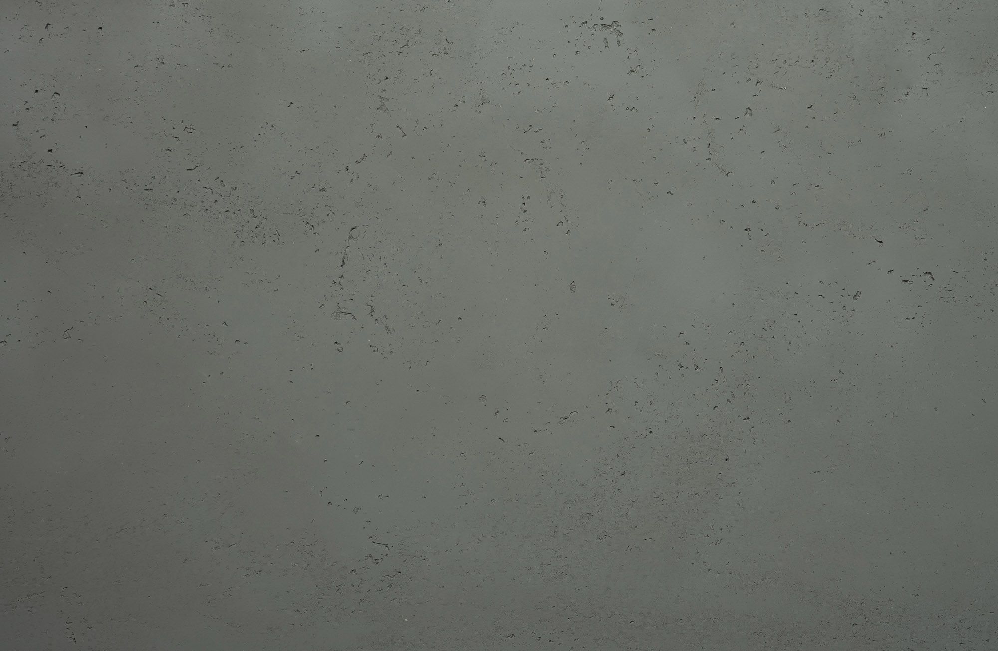 Phlox Wall Panel - Panel Detail