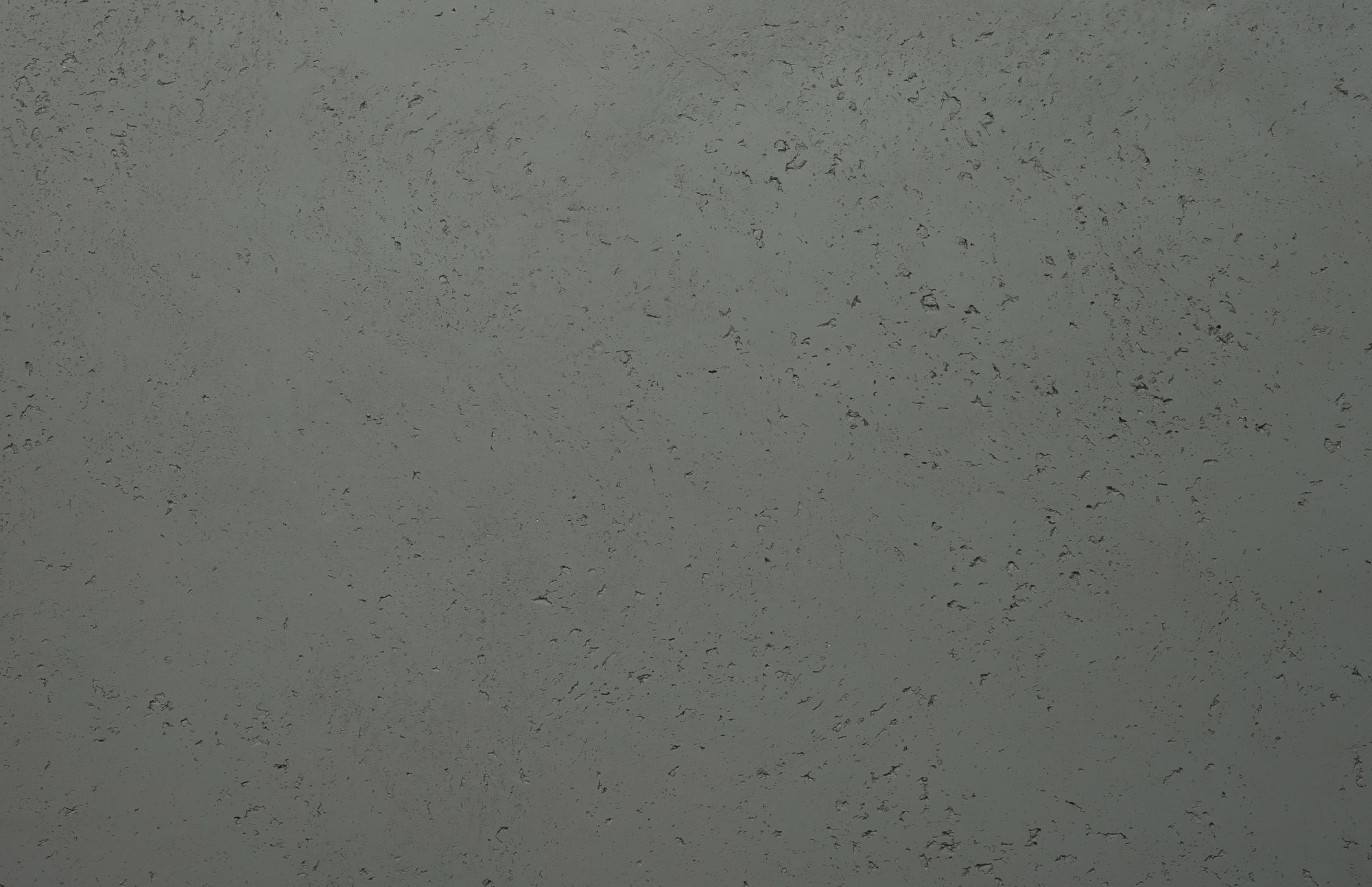 Phlox+ Wall Panel - Panel Detail