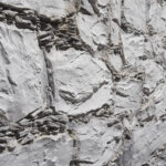 Gris-section