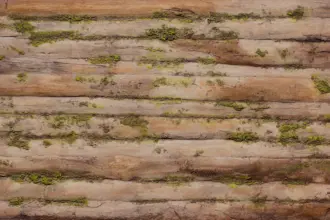 Artstone | Baobab Moss A 622 earth wall panel