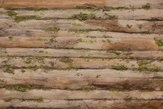 Artstone | Baobab Moss A-622 Natura duvar paneli