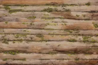 Artstone | Baobab Moss A-622 Natura duvar paneli