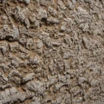 Artstone | Earth Polo / A-793-Kesit