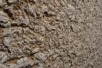 Artstone | Cork Oak Earth Polo A-793 Section Earth duvar paneli