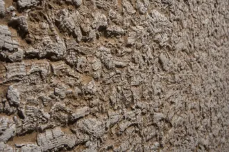 Artstone | Cork Oak Earth Polo A 793 Section earth wall panel