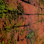 Artstone | Rojo / A-602-Kesit