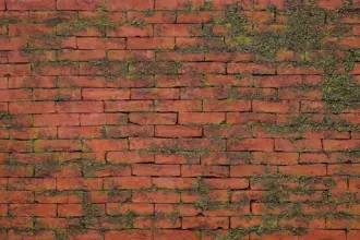 Artstone | Masonry Moss Rojo A-602 duvar paneli