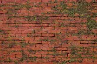 Artstone | Masonry Moss Rojo A 602 earth wall panel