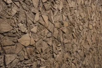 Artstone | Vedtra Earth A 695 Section wood wall panel