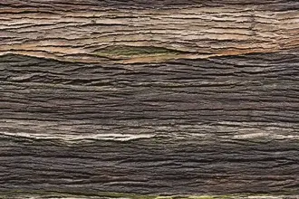 Artstone | Amazon Natura A-312 Earth duvar paneli