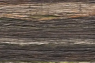 Artstone | Amazon Natura A-312 Earth duvar paneli