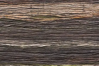 Artstone | Amazon Natura A 312 earth wall panel