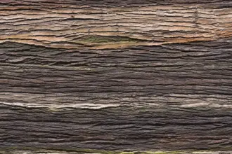 Artstone | Amazon Natura A 312 earth wall panel