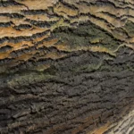 Artstone | Natura / A-312-Kesit