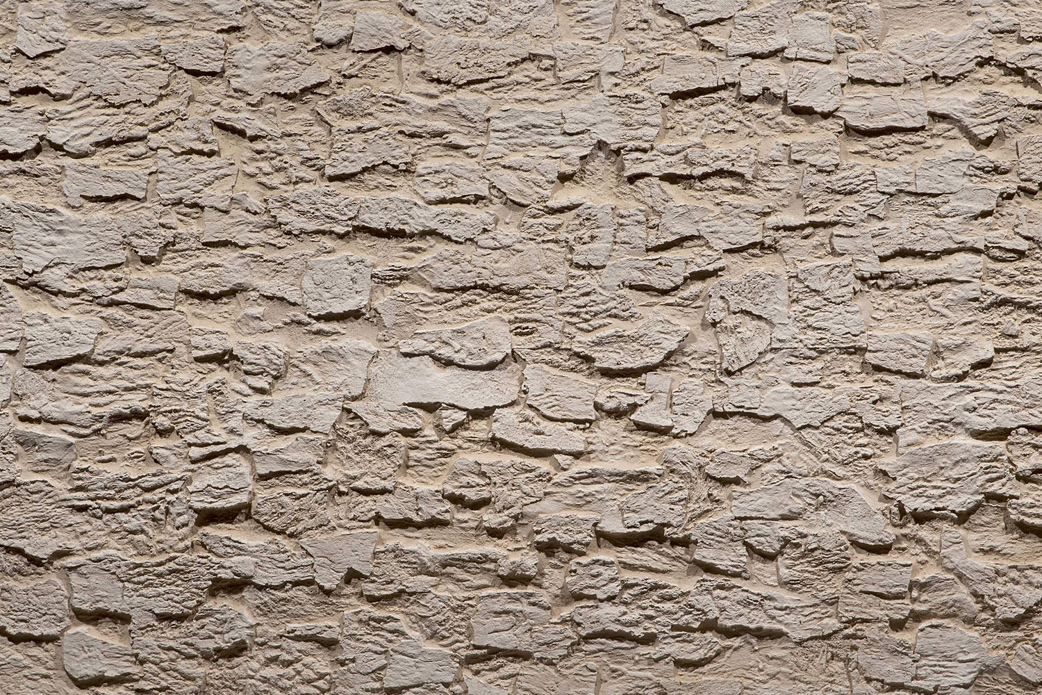 Cork Quercus