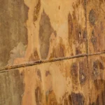 Artstone | Oxyd / A-372-Kesit