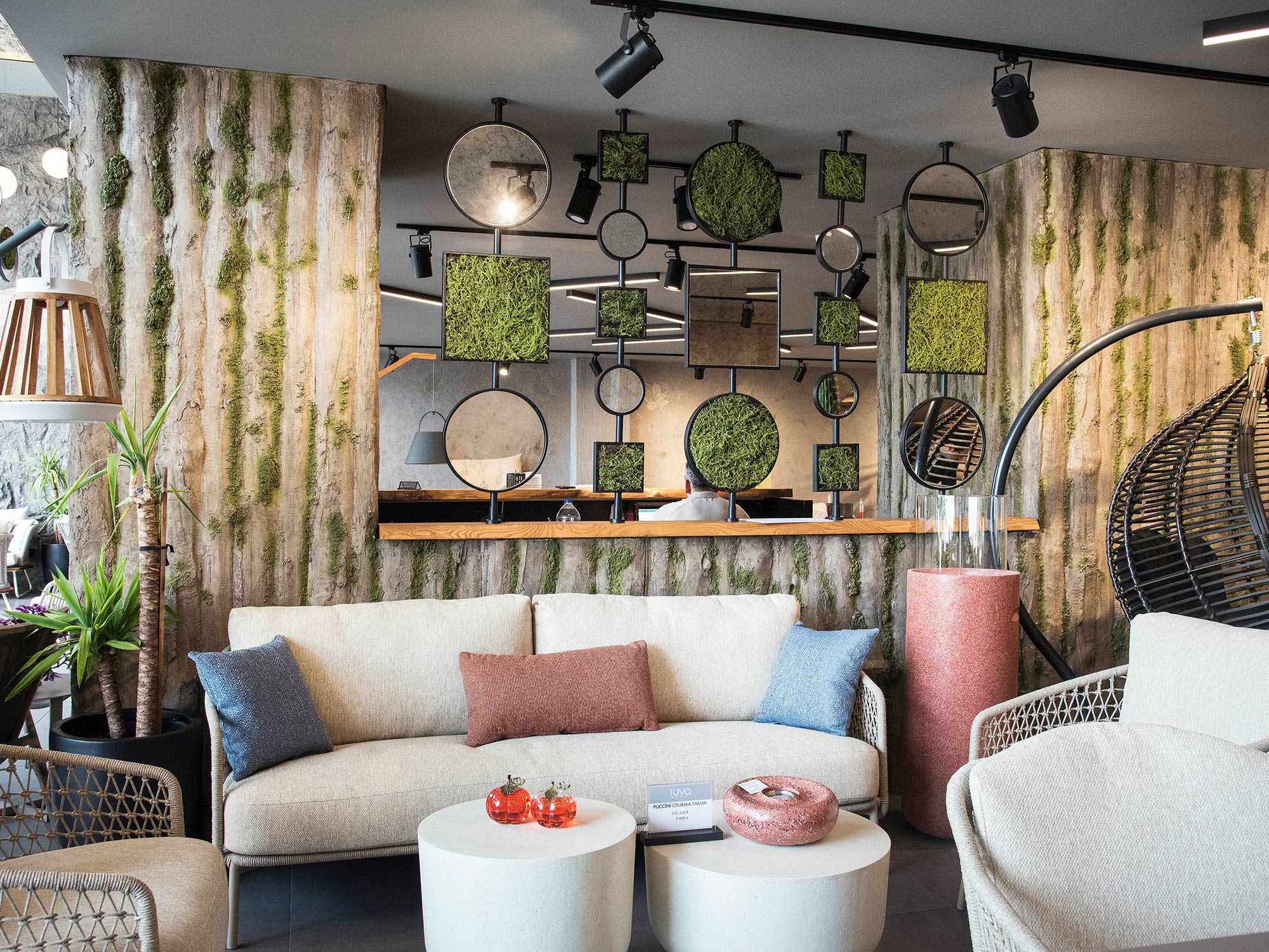 Baobab Moss Wall Panel