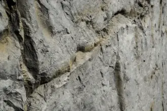 Artstone | Exterior Stone Look Wall Cladding Panels | Modern Design