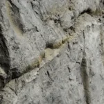 Artstone | Natura / A-242-Kesit