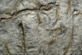 Artstone | Artstone Roca dekoratif kaya görünümlü duvar paneli uygulaması