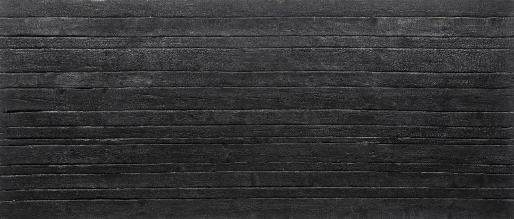 Negra A-671-11 