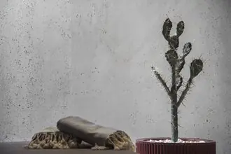 Artstone | Phlox+ decorative wall panel installation in an interior