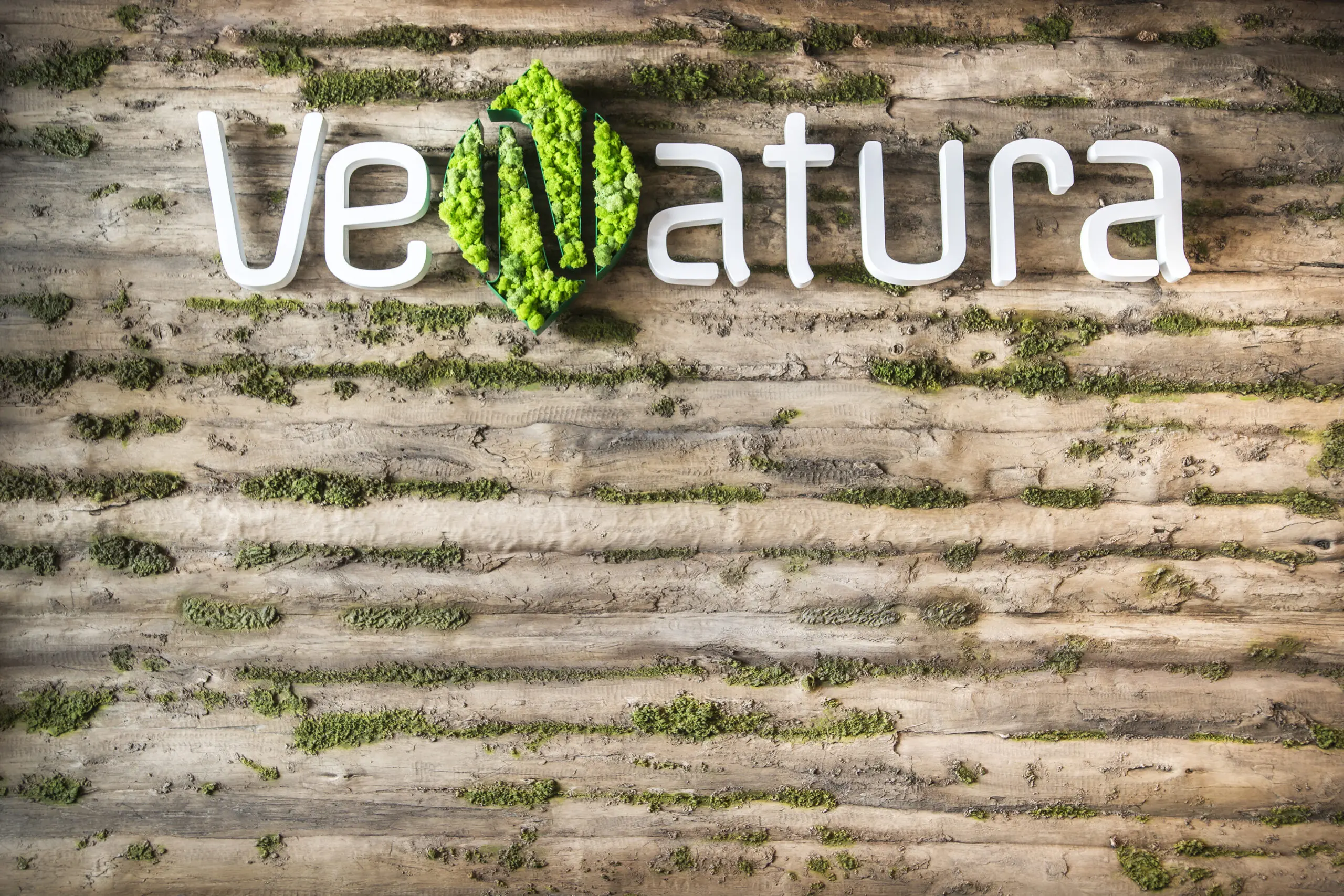 Artstone | Vefa İlaç Baobab Moss